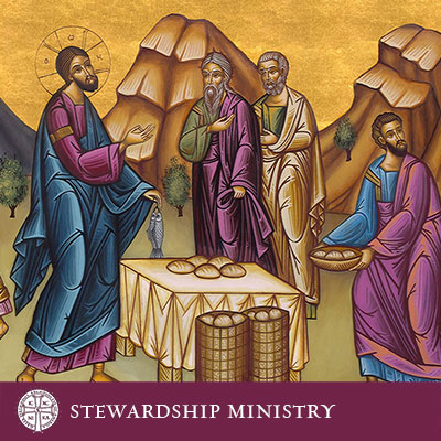 Stewardship